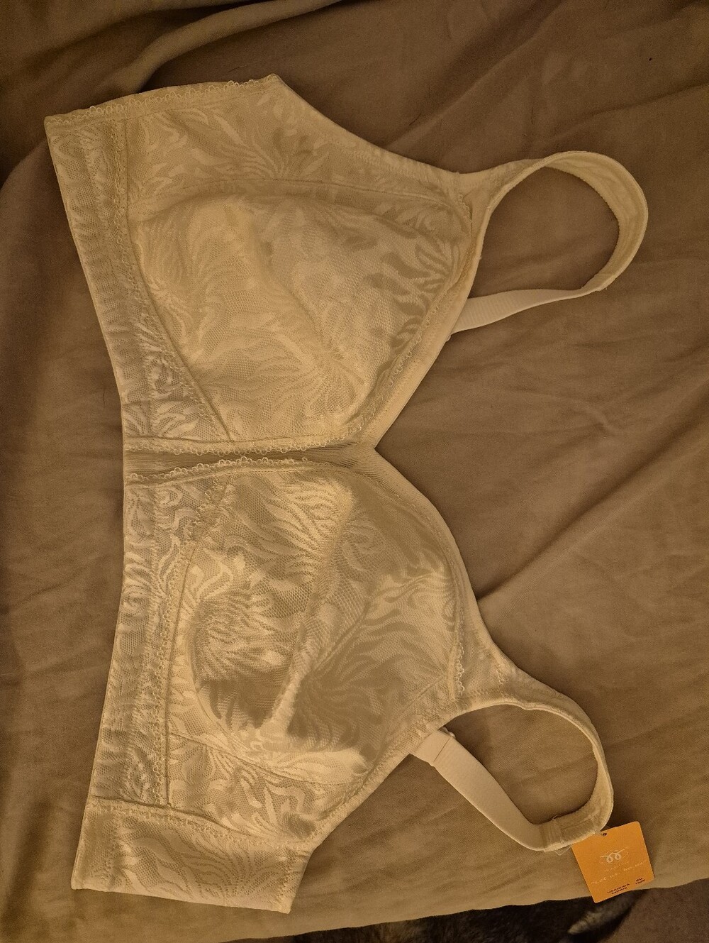 New With Tags Wingslove Classic Lace-Pattern Full Coverage Bra in Ivory 44DD/E